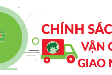 Chính sách giao hàng và vận chuyển