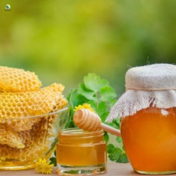 Mật ong rừng nguyên chất